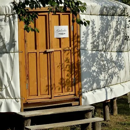 Orallo Szer * Эрисентпетер