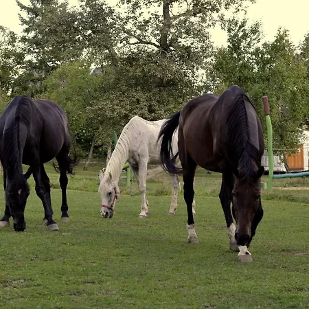 Campingplatz Orallo Szer *