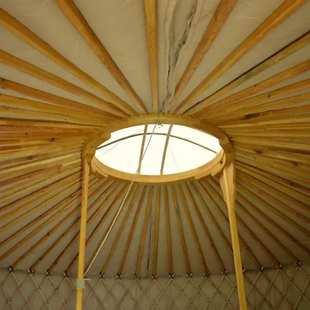 Orallo Szer * Őriszentpéter