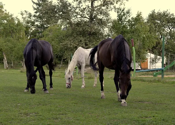 营地 Orallo Szer *