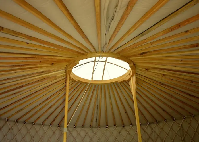 Orallo Szer * Őriszentpéter